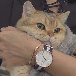 公交车被多人伦㢨系H
